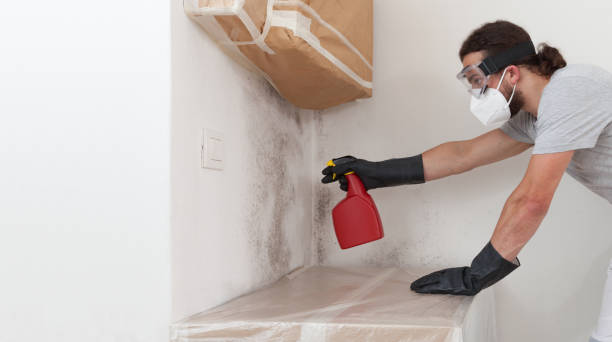 Professional Mold Testing technician working in Melville, NY