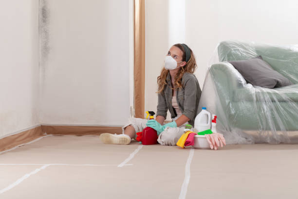 Reliable Mold Testing contractor in Melville, NY by WQB Mold Removal
